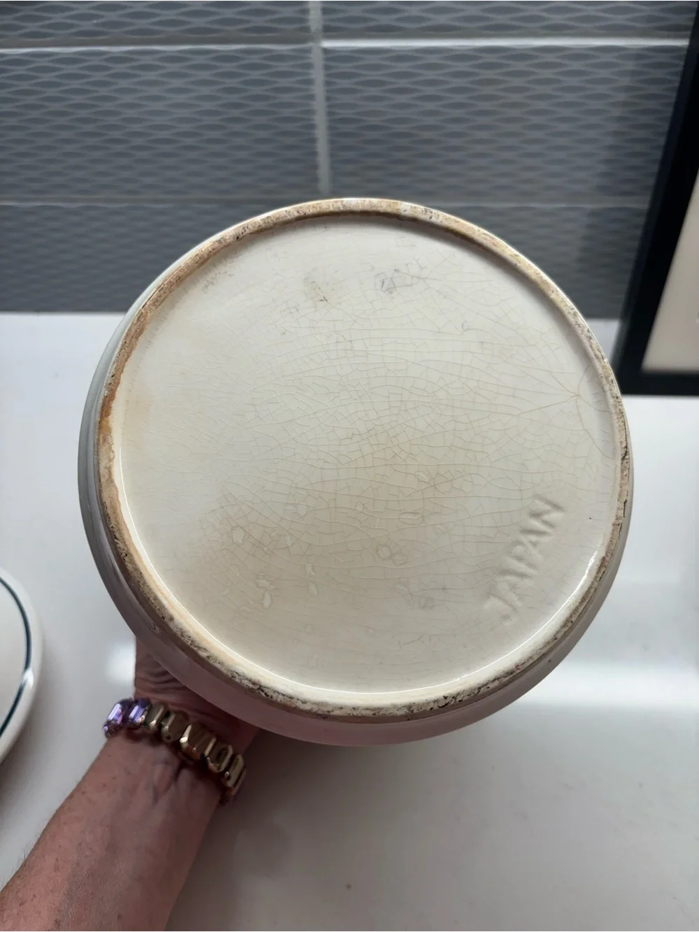 B&D Vintage Blue Goose Canister